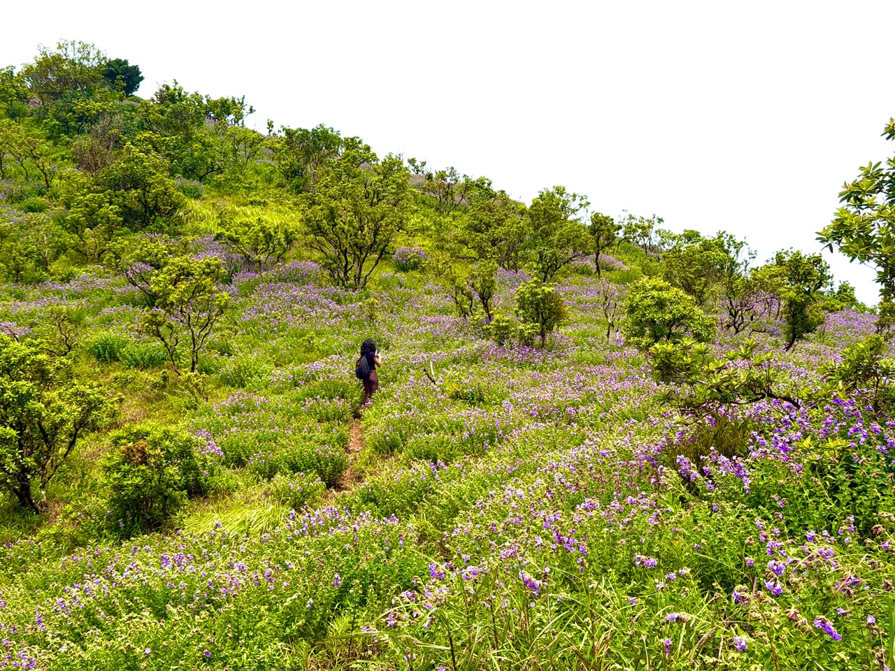Nelji Hills Trek